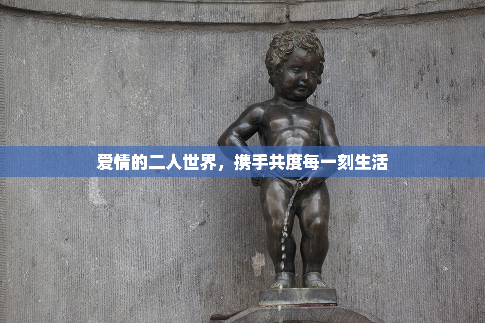 爱情的二人世界，携手共度每一刻生活