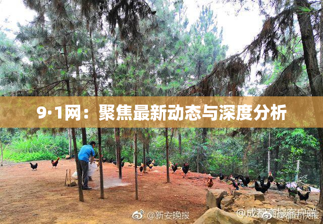 9·1网：聚焦最新动态与深度分析