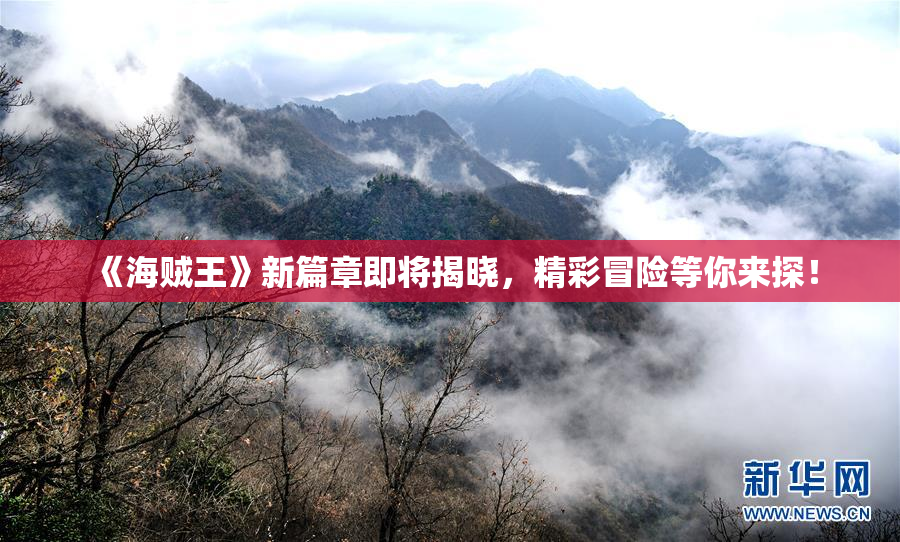 《海贼王》新篇章即将揭晓，精彩冒险等你来探！