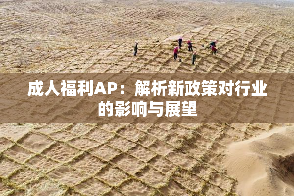 成人福利AP：解析新政策对行业的影响与展望