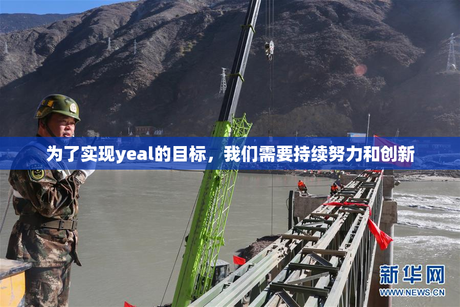 为了实现yeal的目标，我们需要持续努力和创新