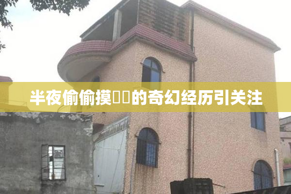 半夜偷偷摸妺妺的奇幻经历引关注