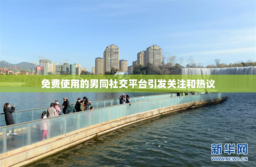 免费使用的男同社交平台引发关注和热议