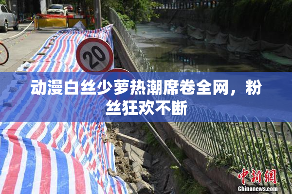 动漫白丝少萝热潮席卷全网，粉丝狂欢不断