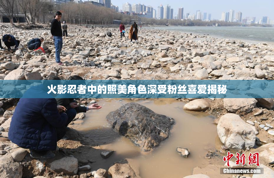 火影忍者中的照美角色深受粉丝喜爱揭秘