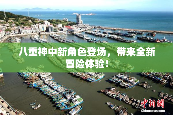 八重神中新角色登场，带来全新冒险体验！