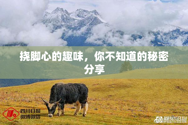 挠脚心的趣味，你不知道的秘密分享