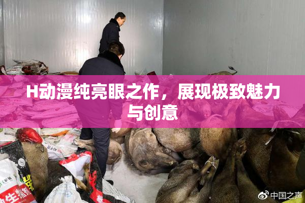 H动漫纯亮眼之作，展现极致魅力与创意