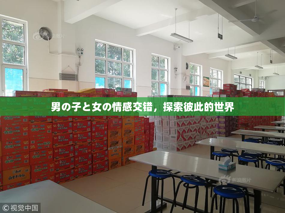 男の子と女の情感交错，探索彼此的世界