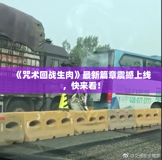 《咒术回战生肉》最新篇章震撼上线，快来看！