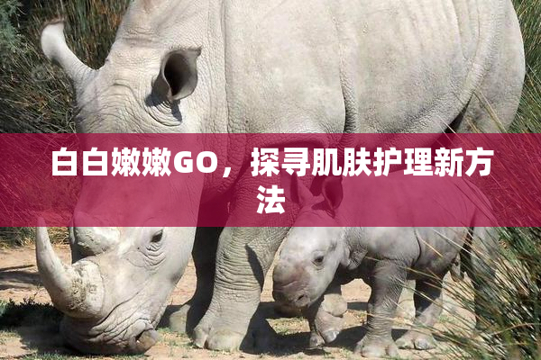 白白嫩嫩GO，探寻肌肤护理新方法