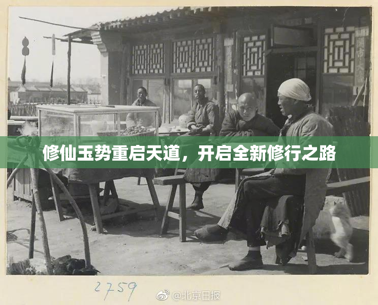 修仙玉势重启天道，开启全新修行之路
