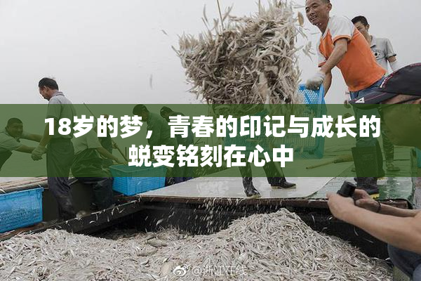 18岁的梦，青春的印记与成长的蜕变铭刻在心中
