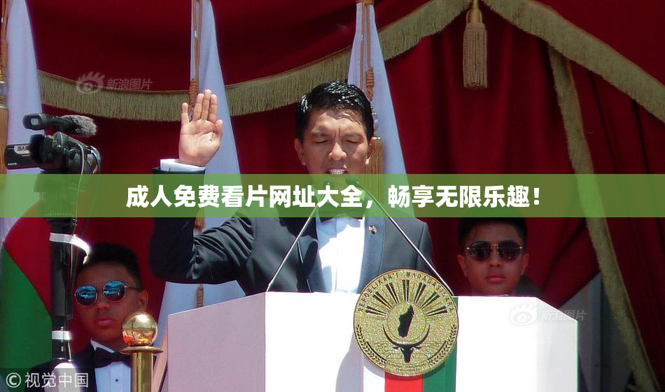 成人免费看片网址大全，畅享无限乐趣！