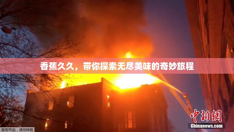 香蕉久久，带你探索无尽美味的奇妙旅程