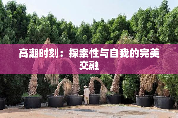 高潮时刻：探索性与自我的完美交融