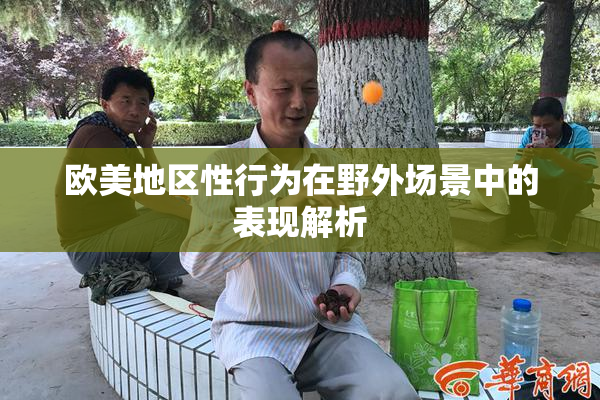 欧美地区性行为在野外场景中的表现解析