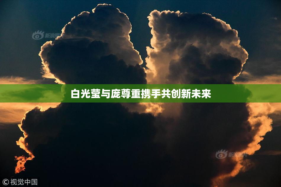 白光莹与庞尊重携手共创新未来