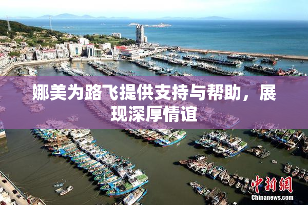 娜美为路飞提供支持与帮助，展现深厚情谊