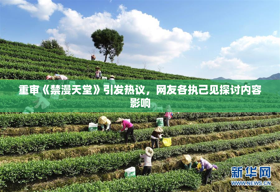 重审《禁漫天堂》引发热议，网友各执己见探讨内容影响