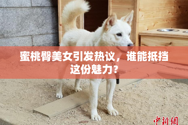蜜桃臀美女引发热议，谁能抵挡这份魅力？
