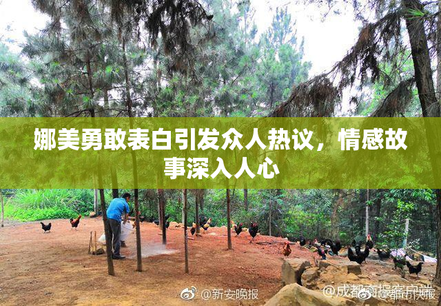 娜美勇敢表白引发众人热议，情感故事深入人心