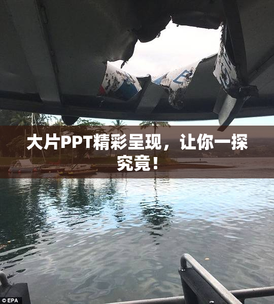 大片PPT精彩呈现，让你一探究竟！