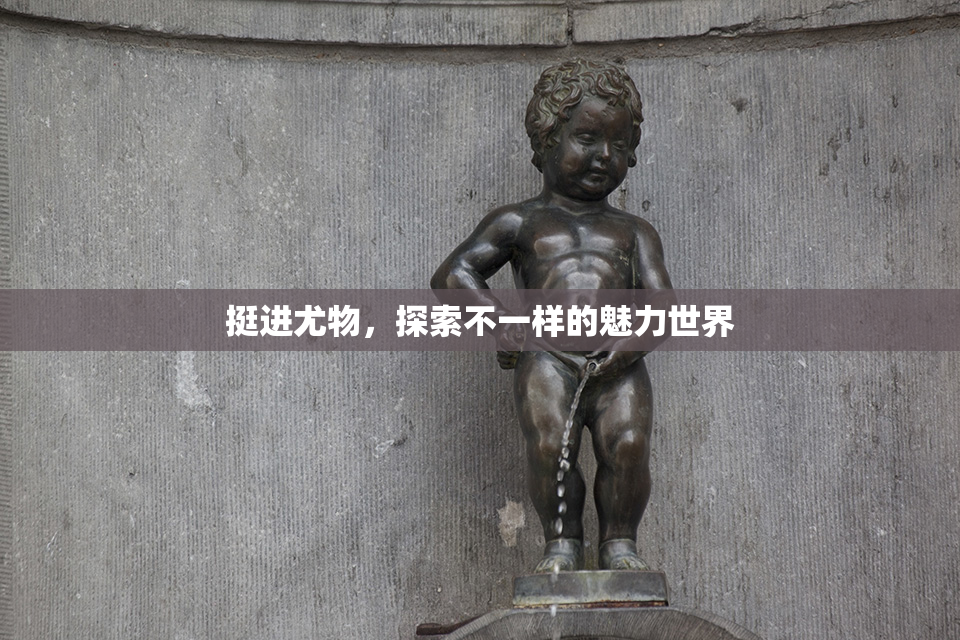 挺进尤物，探索不一样的魅力世界