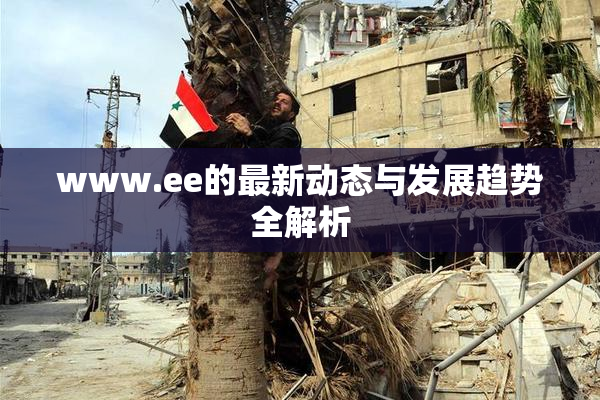 www.ee的最新动态与发展趋势全解析