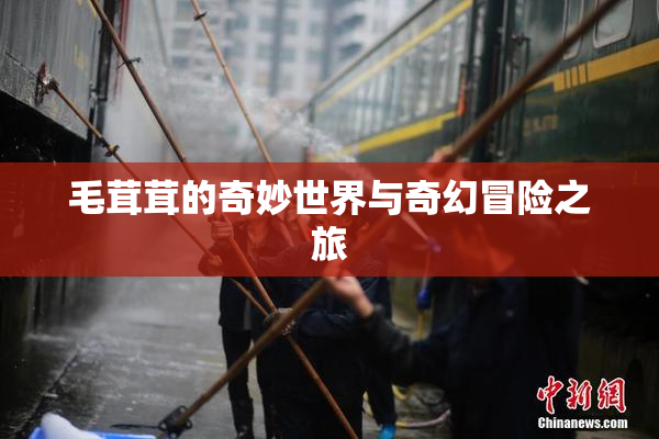 毛茸茸的奇妙世界与奇幻冒险之旅