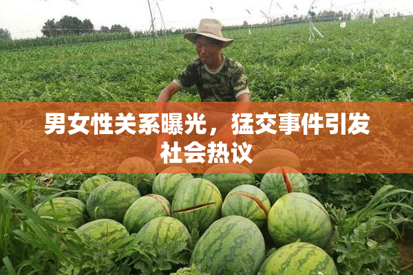 男女性关系曝光，猛交事件引发社会热议