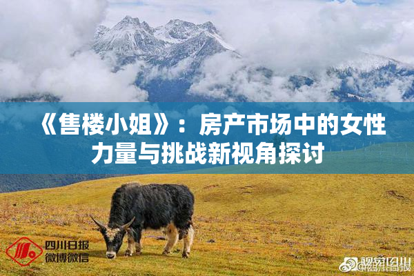 《售楼小姐》：房产市场中的女性力量与挑战新视角探讨