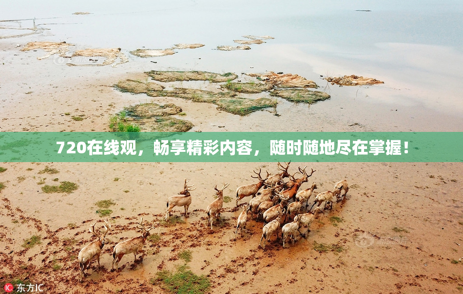 720在线观，畅享精彩内容，随时随地尽在掌握！