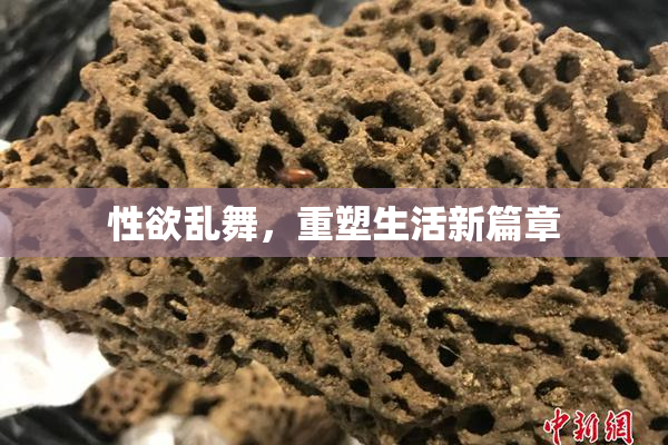 性欲乱舞，重塑生活新篇章