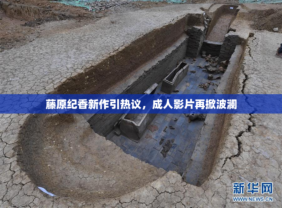 藤原纪香新作引热议，成人影片再掀波澜