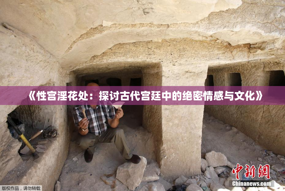 《性宫淫花处：探讨古代宫廷中的绝密情感与文化》
