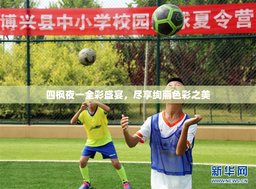 四枫夜一全彩盛宴，尽享绚丽色彩之美