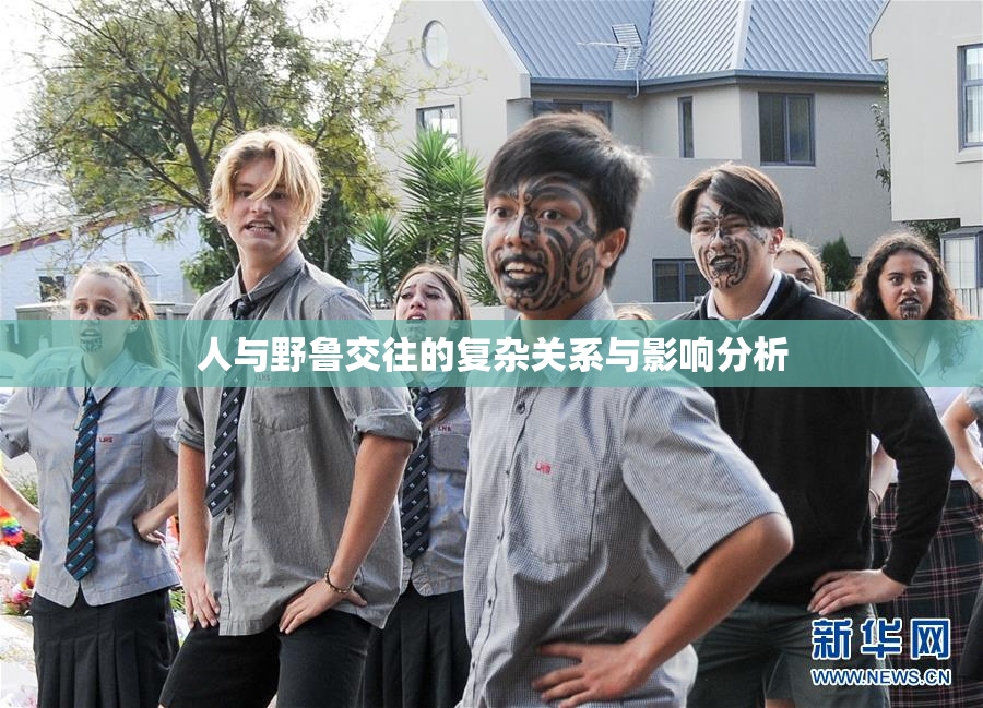 人与野鲁交往的复杂关系与影响分析