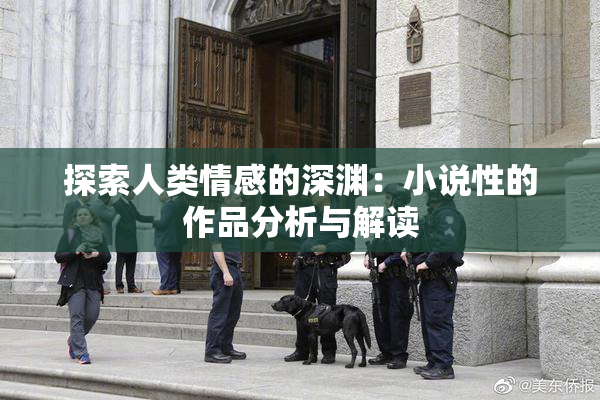 探索人类情感的深渊：小说性的作品分析与解读