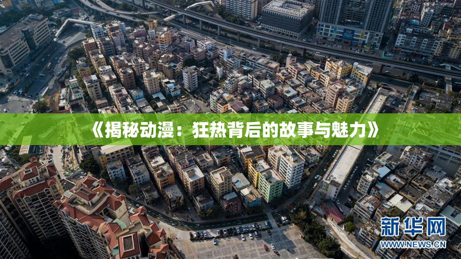 《揭秘动漫：狂热背后的故事与魅力》