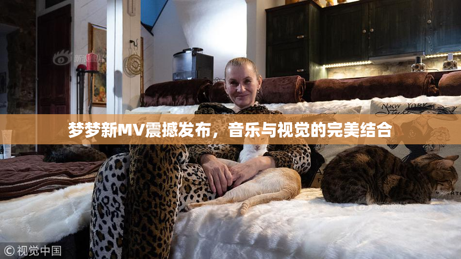 梦梦新MV震撼发布，音乐与视觉的完美结合