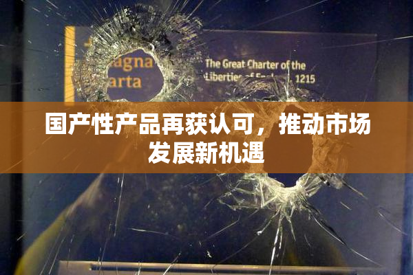 国产性产品再获认可，推动市场发展新机遇