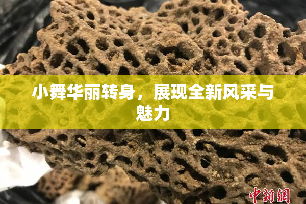 小舞华丽转身，展现全新风采与魅力