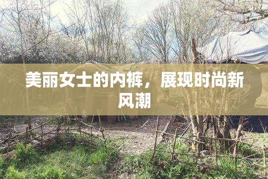 美丽女士的内裤，展现时尚新风潮