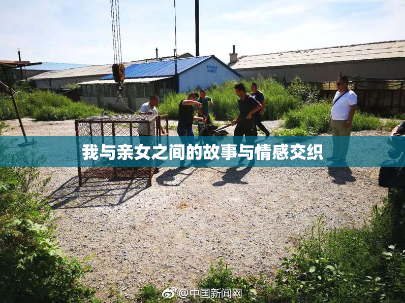 我与亲女之间的故事与情感交织