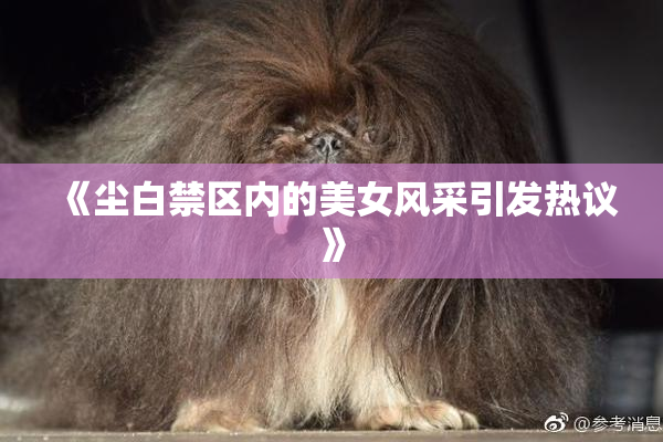 《尘白禁区内的美女风采引发热议》