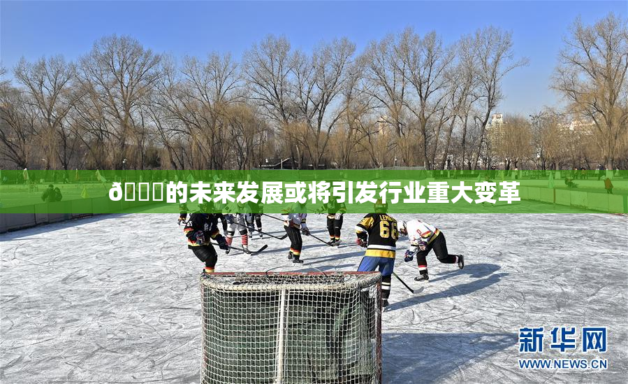 🈚的未来发展或将引发行业重大变革