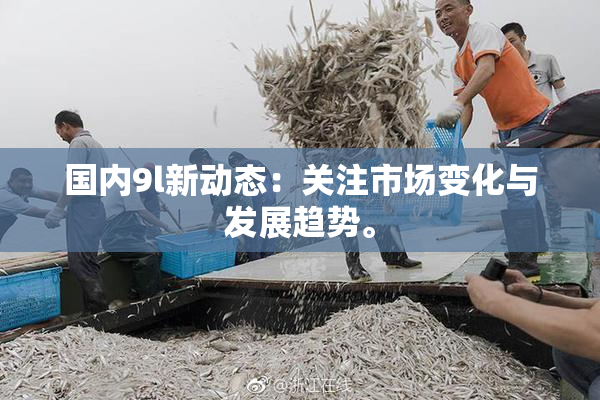 国内9l新动态：关注市场变化与发展趋势。