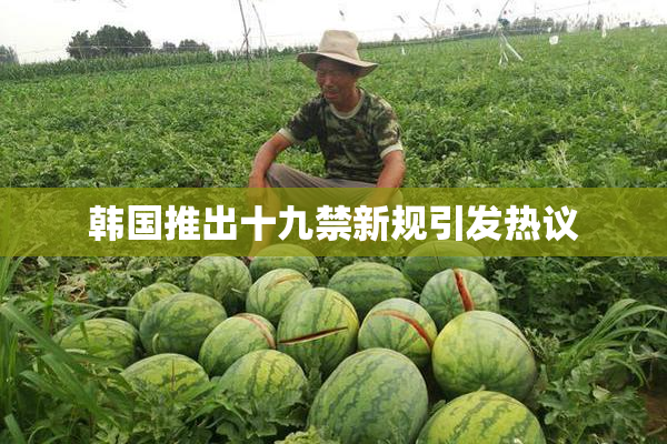韩国推出十九禁新规引发热议