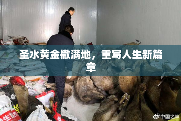 圣水黄金撒满地，重写人生新篇章